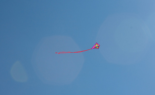 Fly a kite
