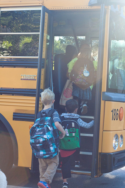 Idle Parent Manifesto: Down With School