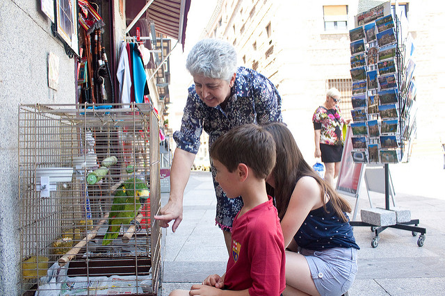 Toledo Spain pet store