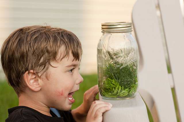 Reconnect with nature Screen-Free Week