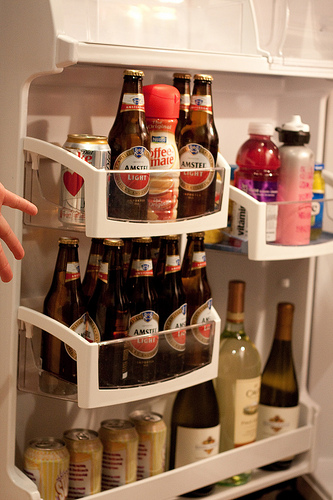 The Risky Parents Fridge