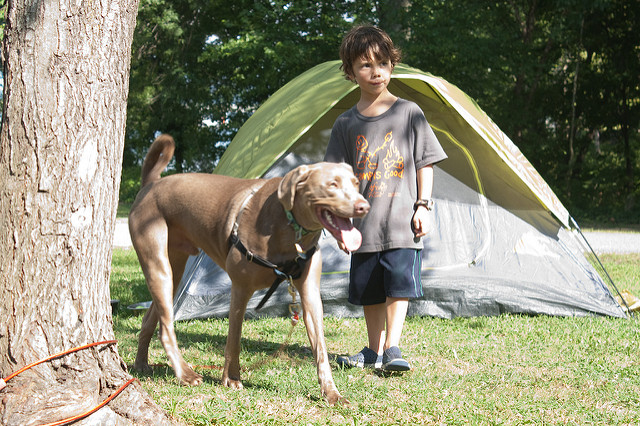 Kids & Tracking Technology via The Risky Kids