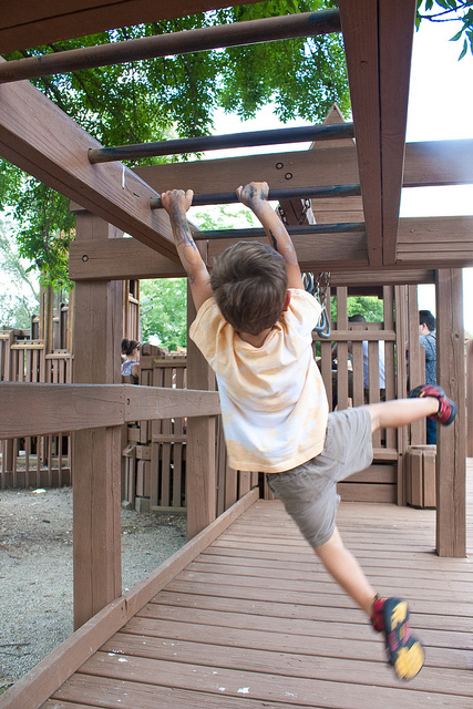 Junior Monkey Bars