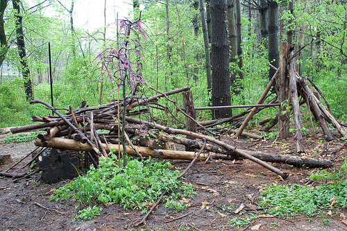 Charles and Marge Schott Nature Playscape