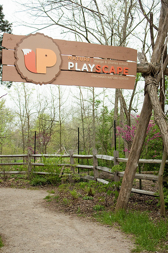 Charles and Marge Schott Nature Playscape