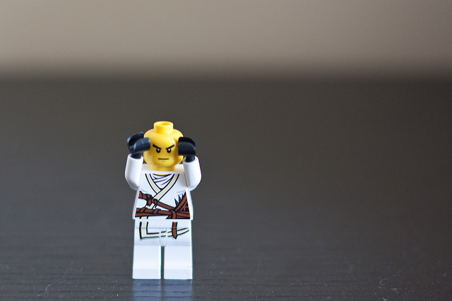 LEGO Minifigure LEGO Organization