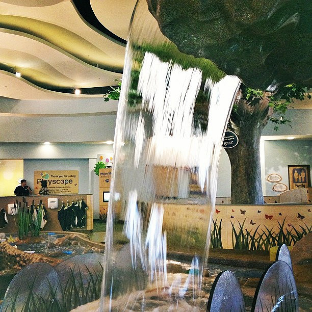 Water play. Playscape at the Children's Museum