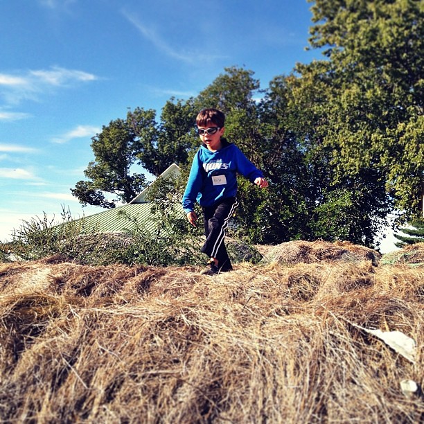 Hay Bale Jumping