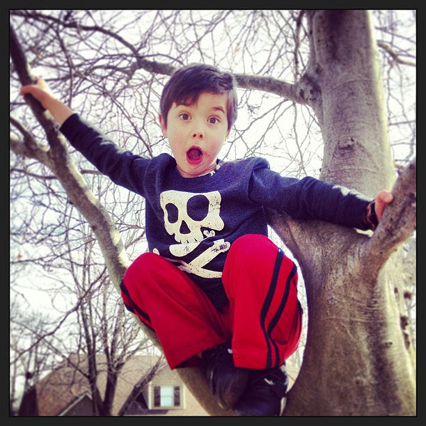 Climbing trees does a body good. 