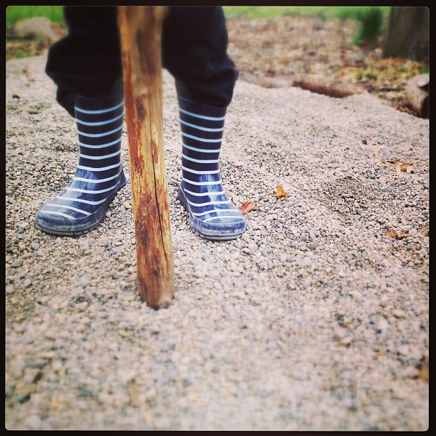 King of the rock pile. #everydayaplayday #polarnopyretusa